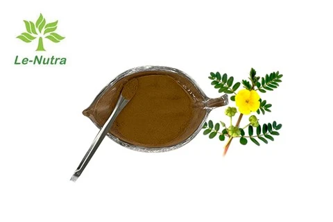 Bột Tribulus Terrestris